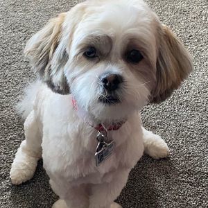 Meet your Posher, Donna